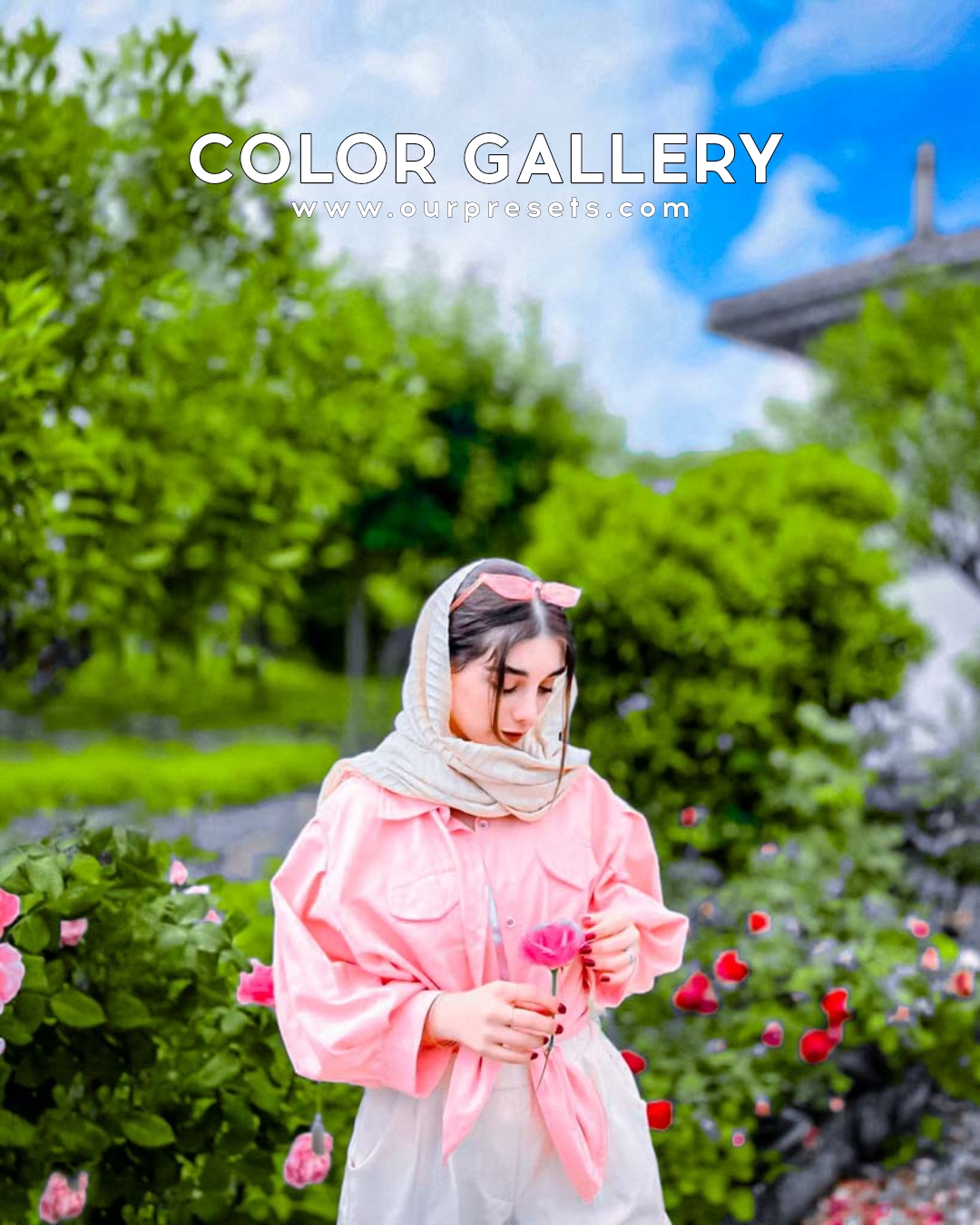 Colour Gallery Lightroom Presets