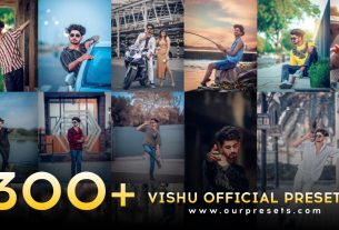 Top 300+ Vishu Official Lightroom Presets